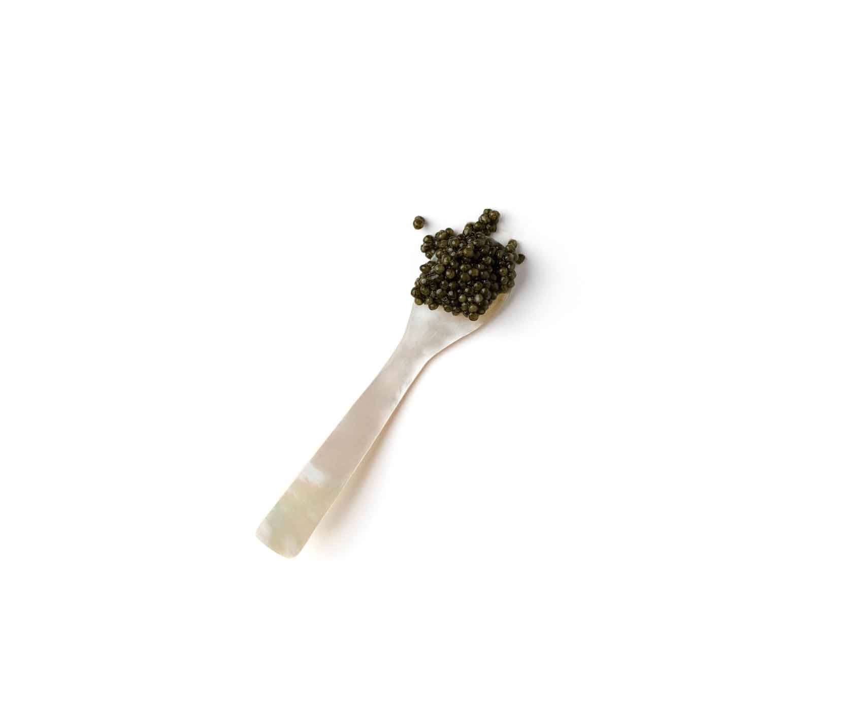 Caviar Mother of Pearl Spoon