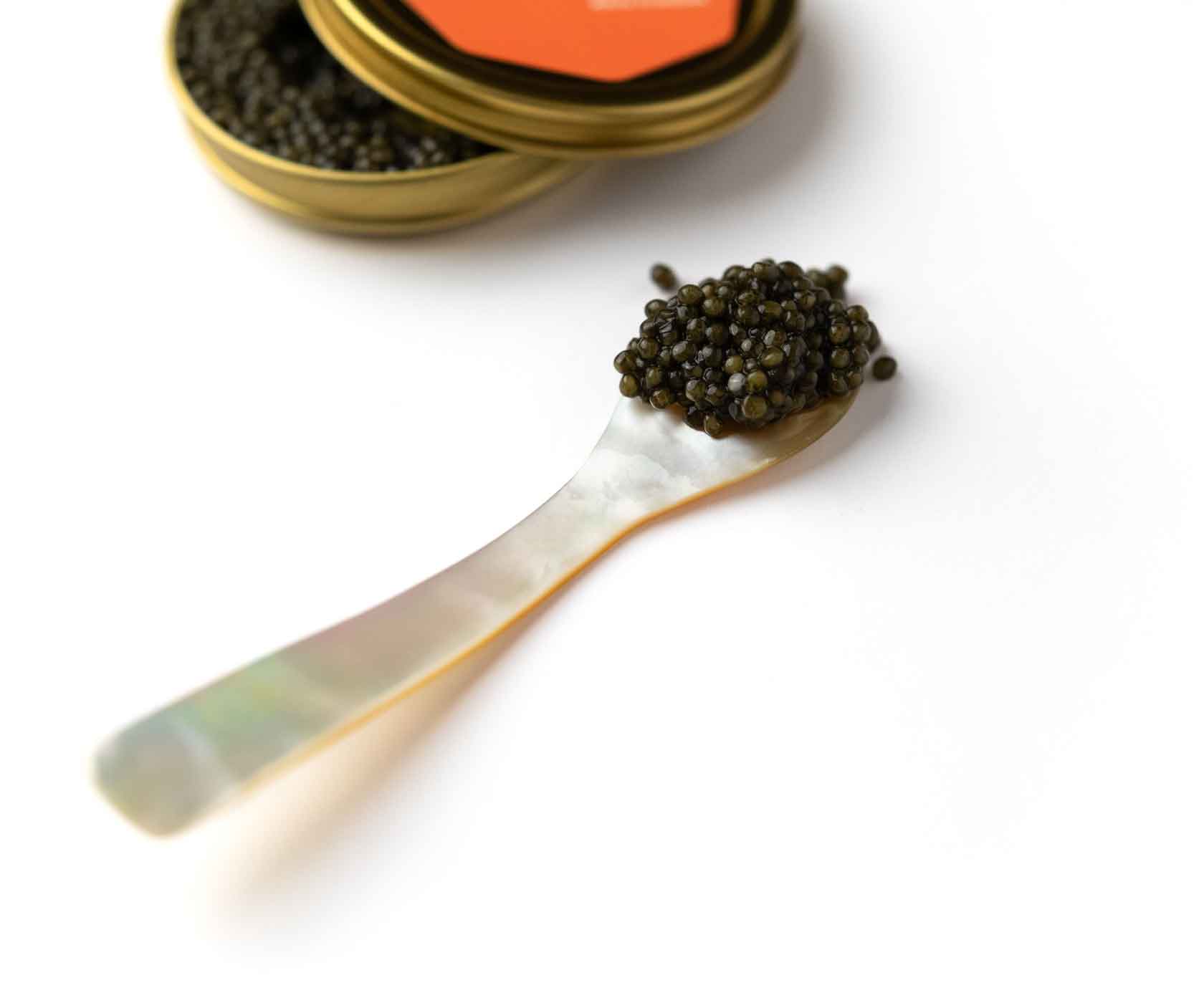 Caviar Mother of Pearl Spoon