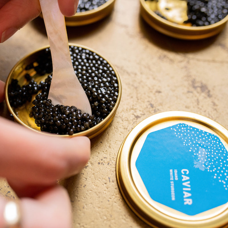 Caviar | Buy Caviar Online