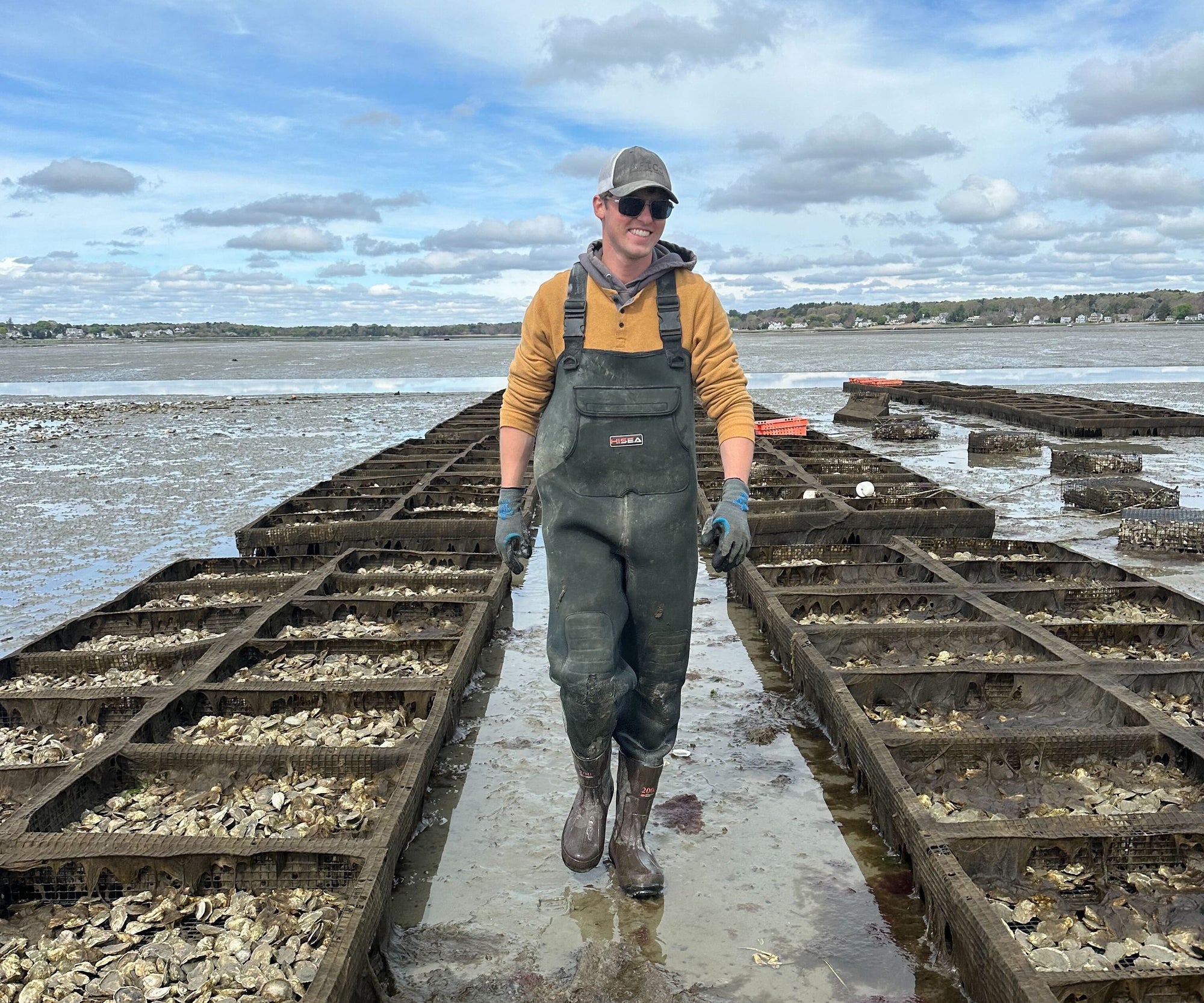 Howland's Honeydrop Oysters from Duxbury, MA