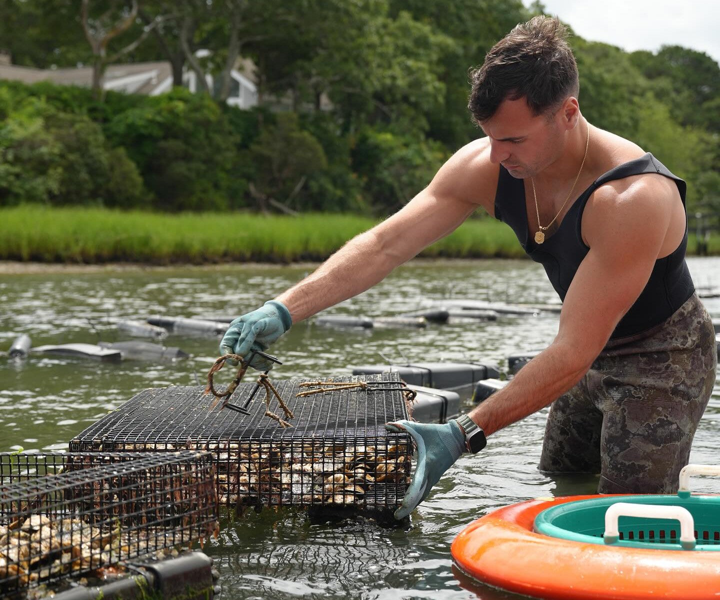 Poppy Oysters from Mashpee, MA