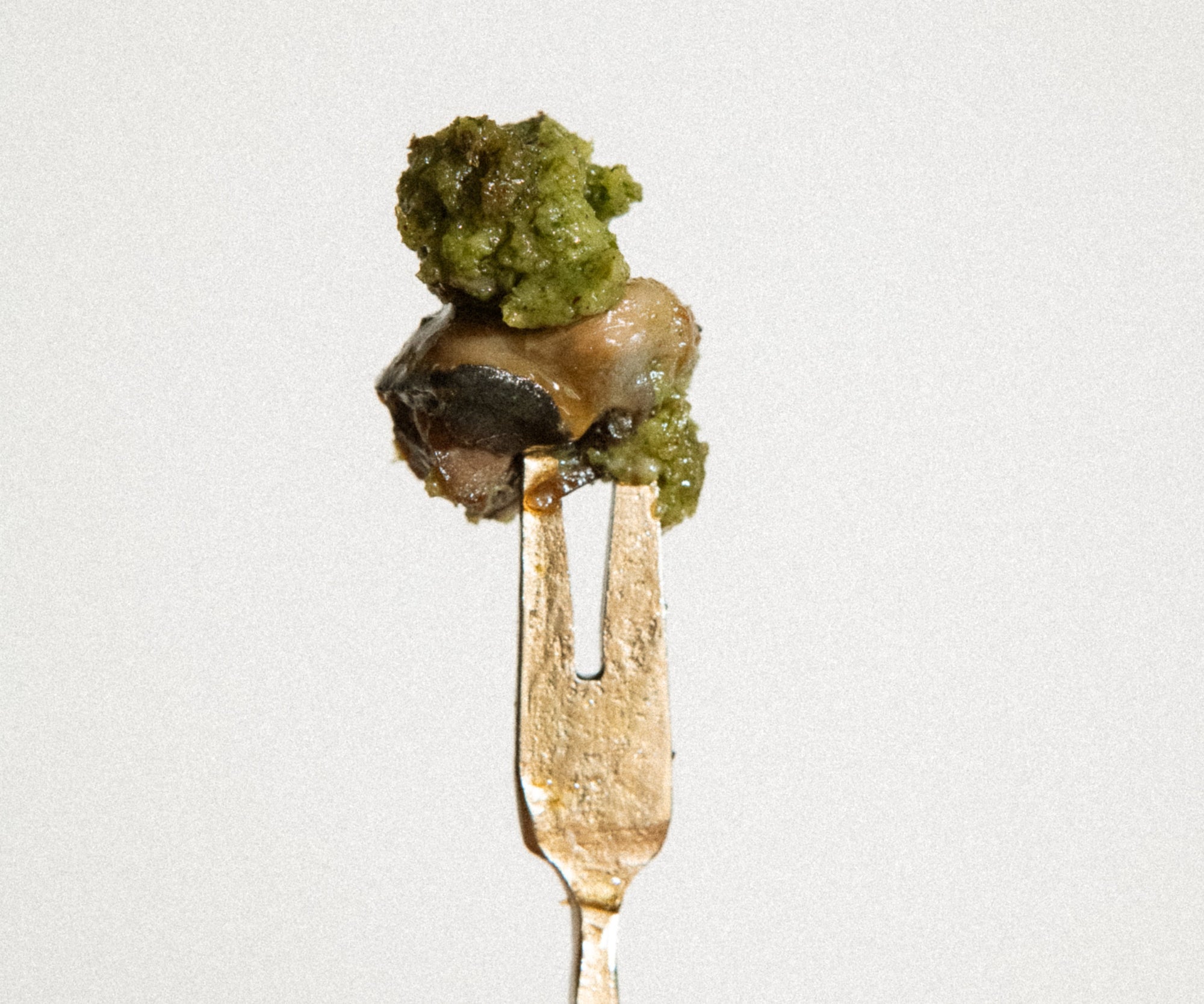 Escargot from Poitou-Charentes, FRANCE