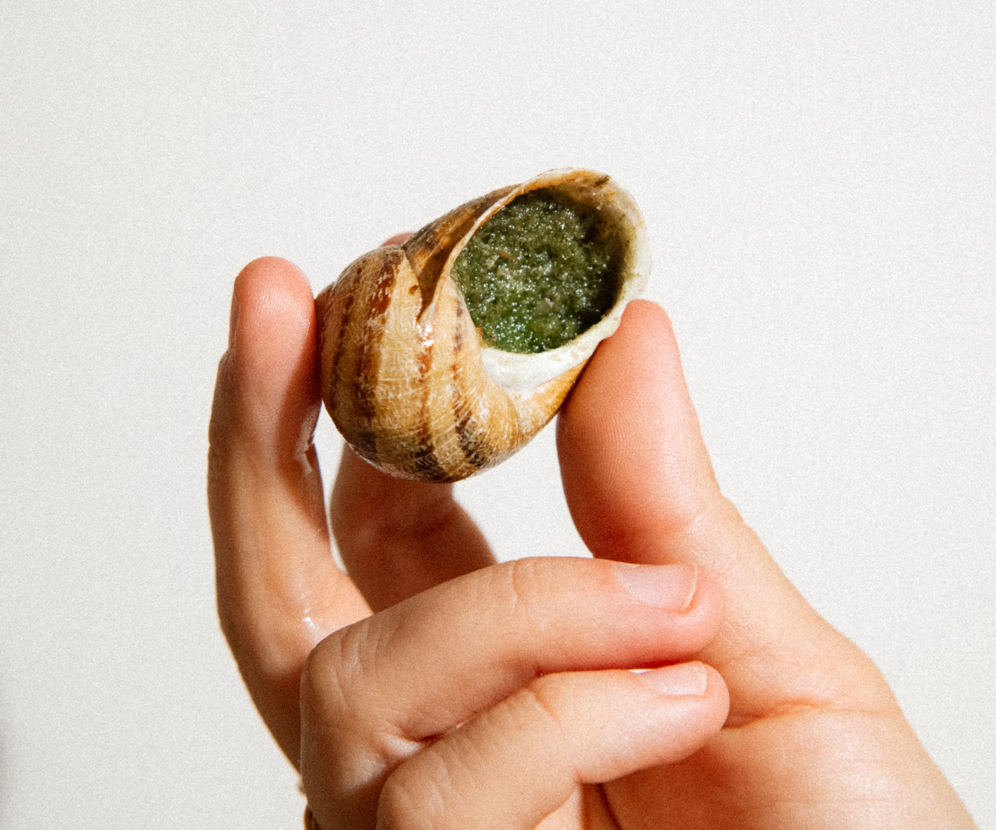 Escargot from Poitou-Charentes, FRANCE