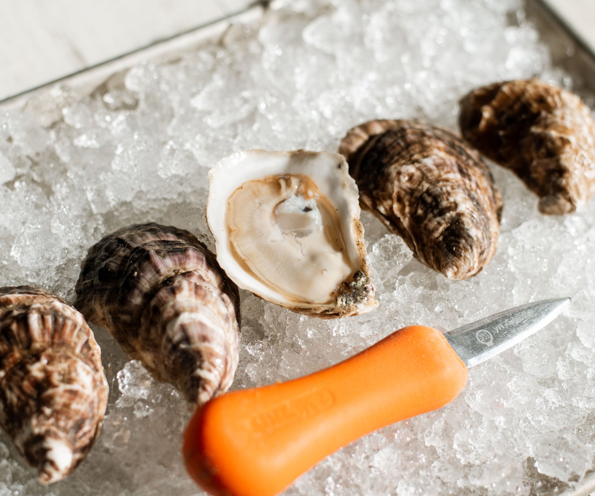 Mattapoisett Oysters from Mattapoisett, MA