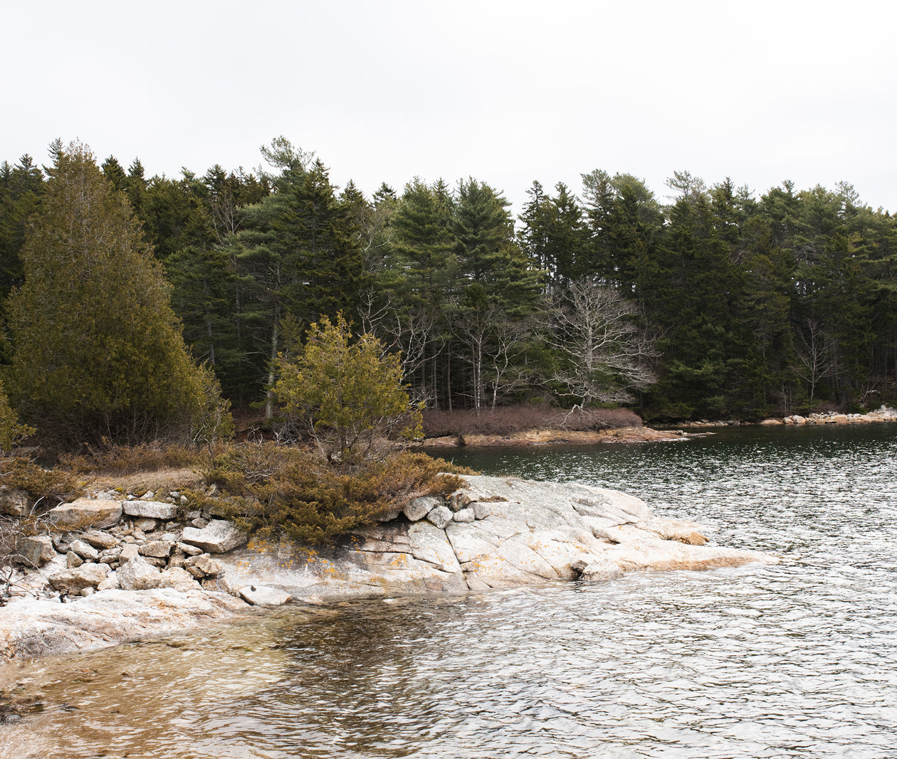Snow Island