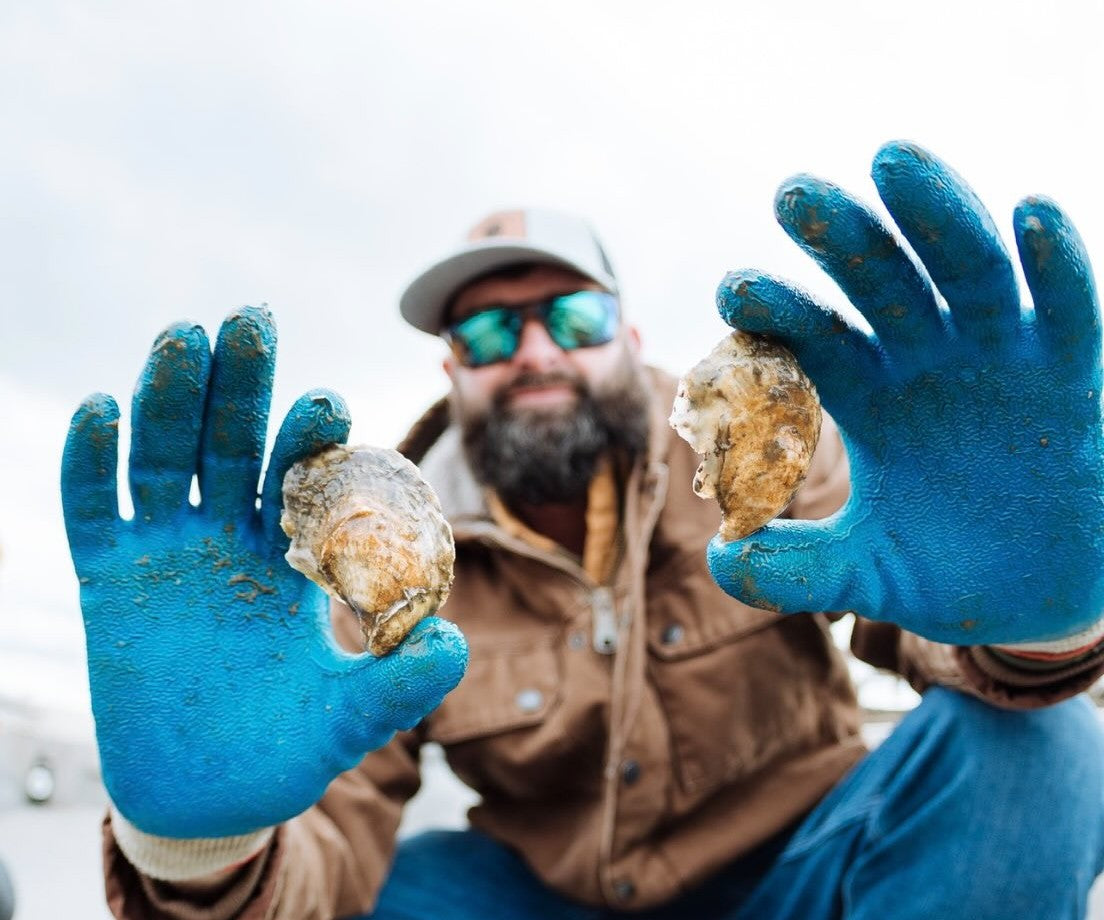 Lowcountry Cups Oysters from Green Pond, SC