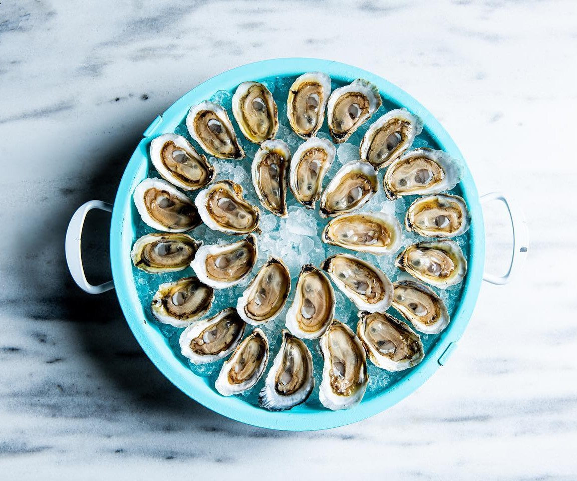 Lowcountry Cups Oysters from Green Pond, SC