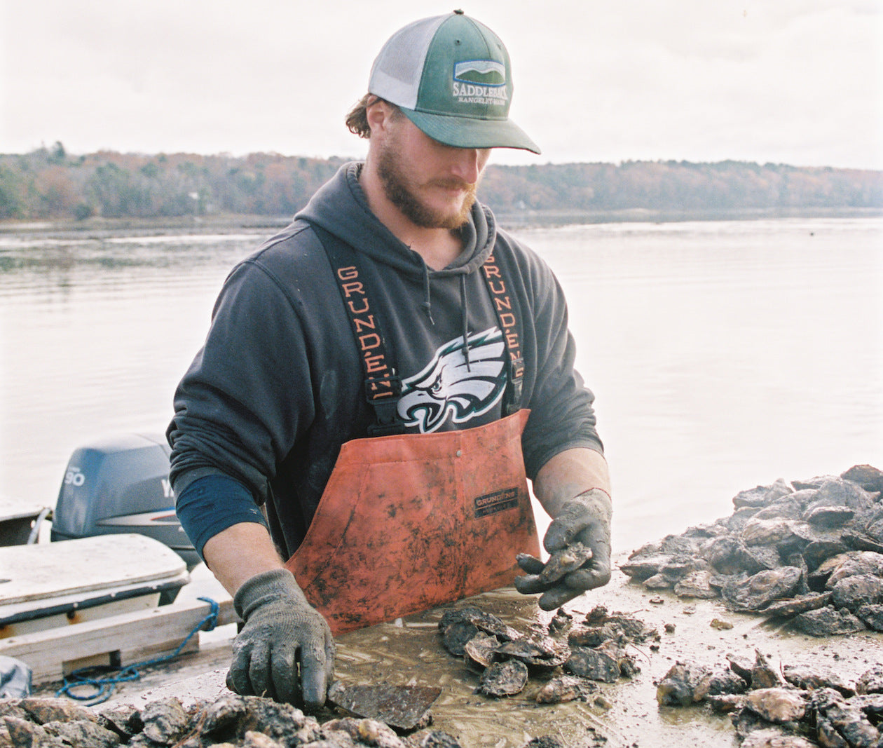 Blackstone Point Oysters from Damariscotta, ME