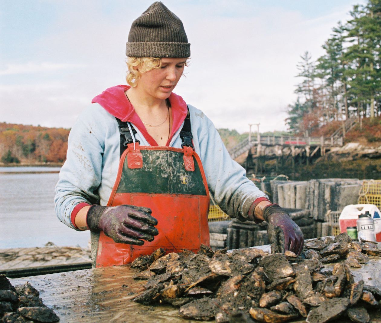 Blackstone Point Oysters from Damariscotta, ME