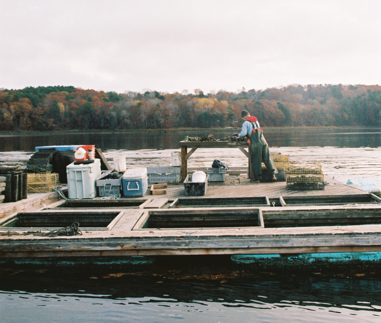 The Whole DAM Snack: 150 Maine Oysters