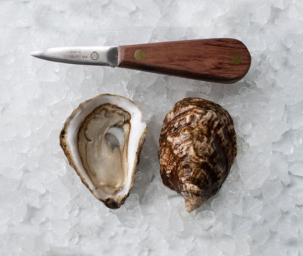 Dunbar Oysters from Yarmouth, MA (Large) Island Creek Oysters Buy Oysters Online Buy