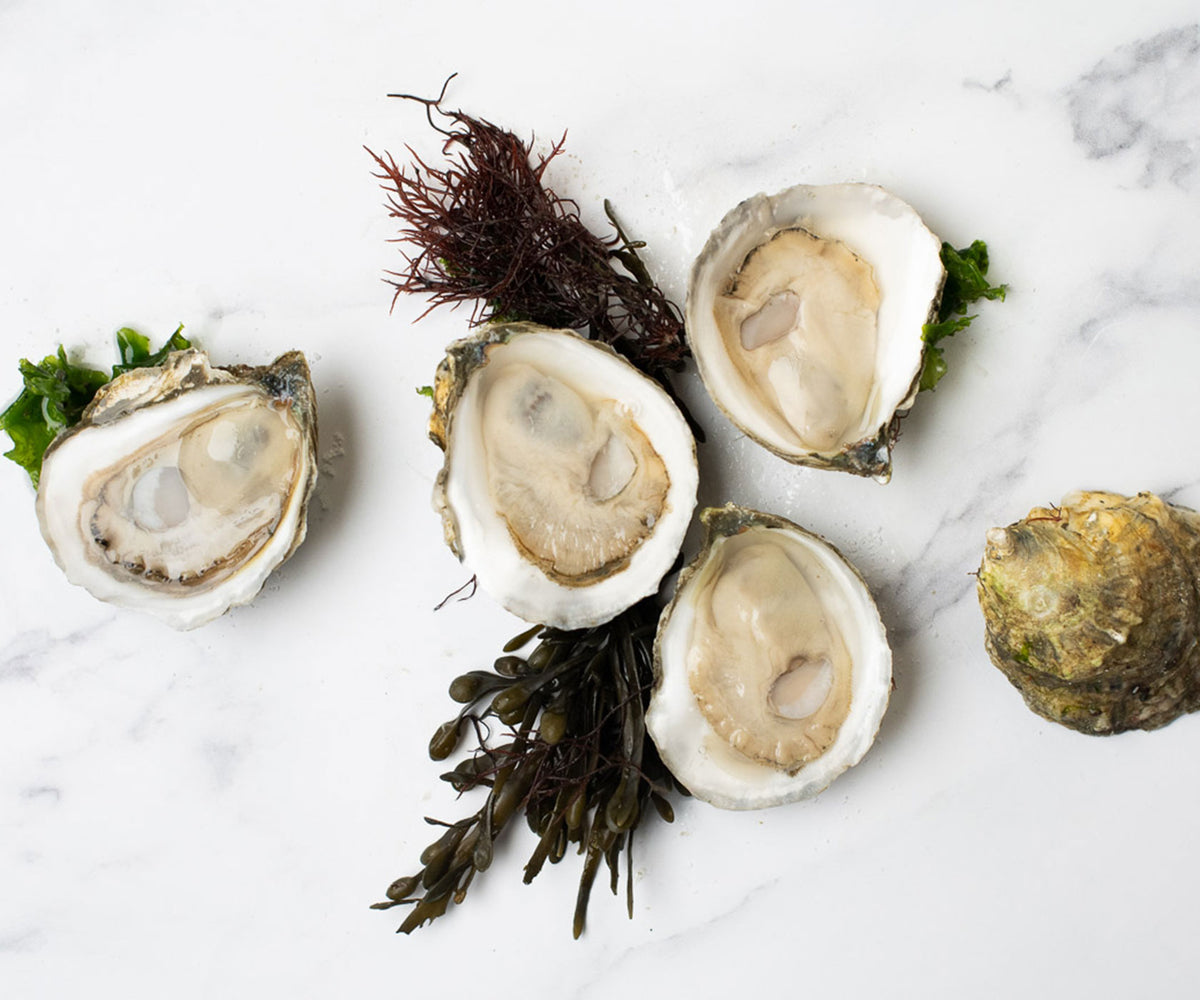 Oysters Online