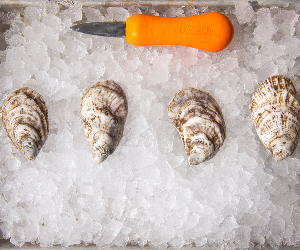 Aquidneck Cup Oysters from Portsmouth, RI Island Creek Oysters Buy