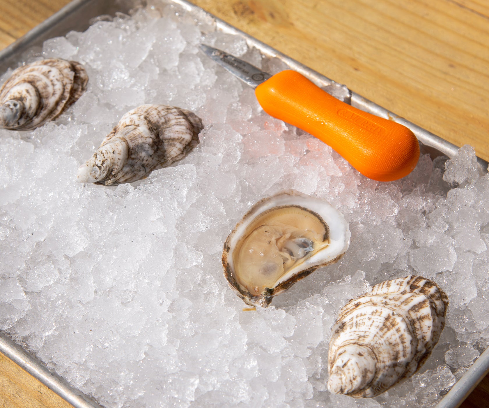Aquidneck Cup Oysters from Portsmouth, RI