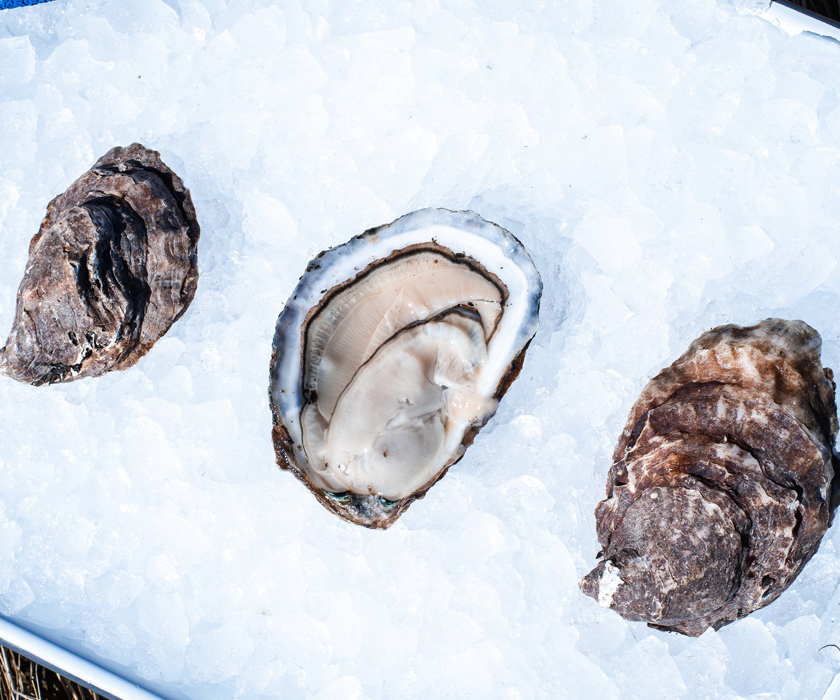 Butter & Brine Oysters from Portsmouth, RI