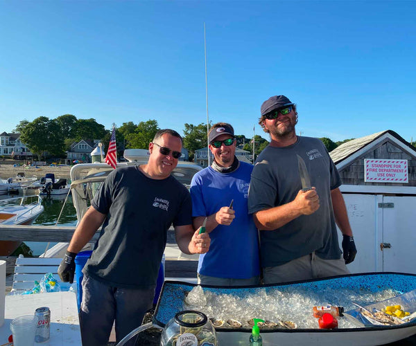 Edgewater Oysters From Buzzards Bay, MA Island Creek Oysters Buy