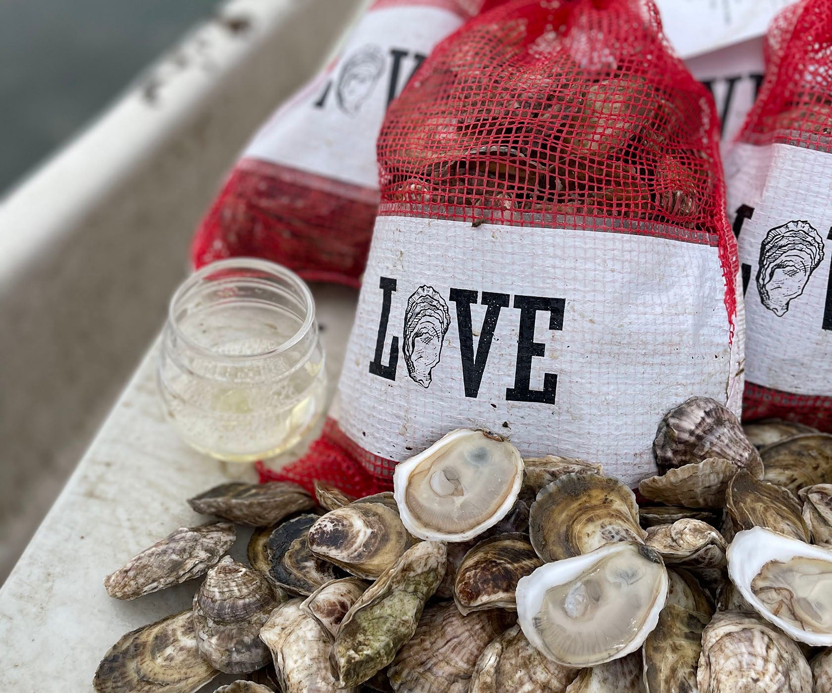 Love Point Oysters from Harpswell, ME