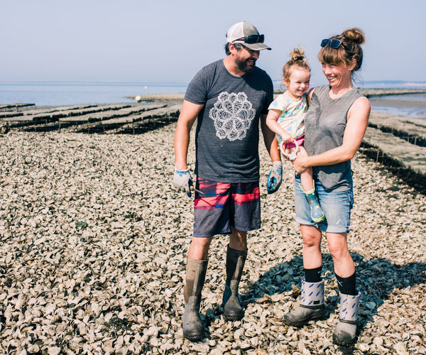 Wellfleet Oysters from Wellfleet, MA Island Creek Oysters Buy