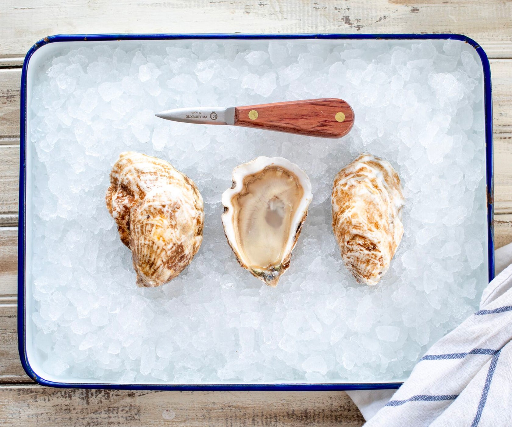Sweet Neck Oysters from Martha's Vineyard, MA