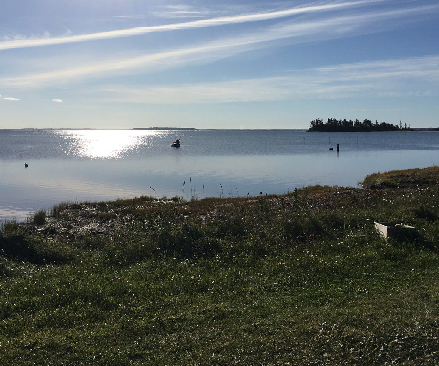 Valley Pearl Oysters from Tyne Valley, PEI, CAN Island Creek Oysters