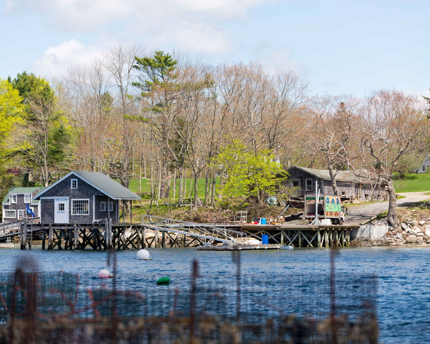 Pemaquid Oysters from Damariscotta River, Maine Island Creek Oysters