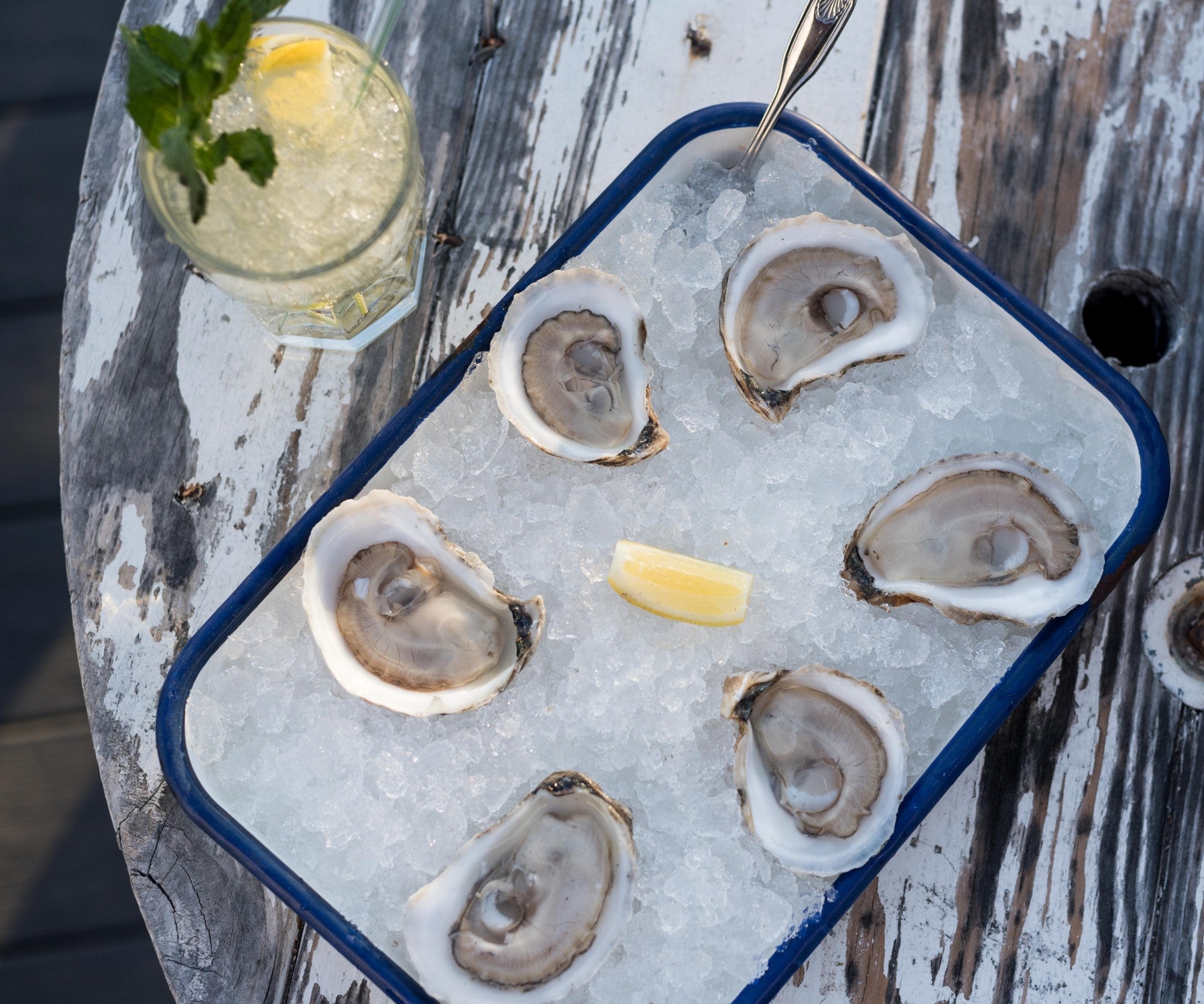 The North Atlantic Sampler