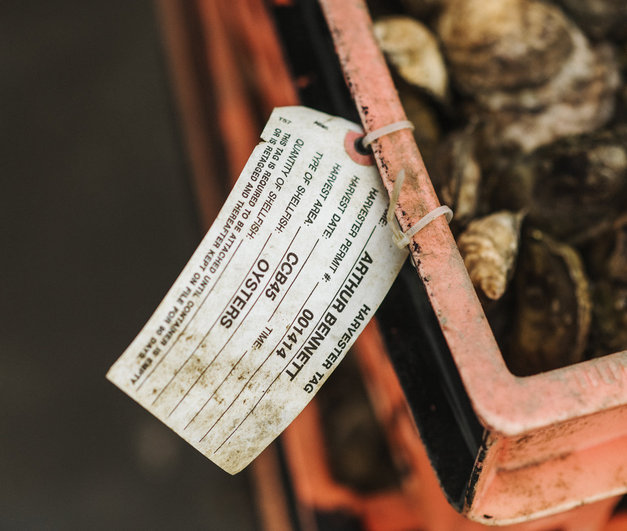 Mr. Bill's Oysters from Saquish, MA