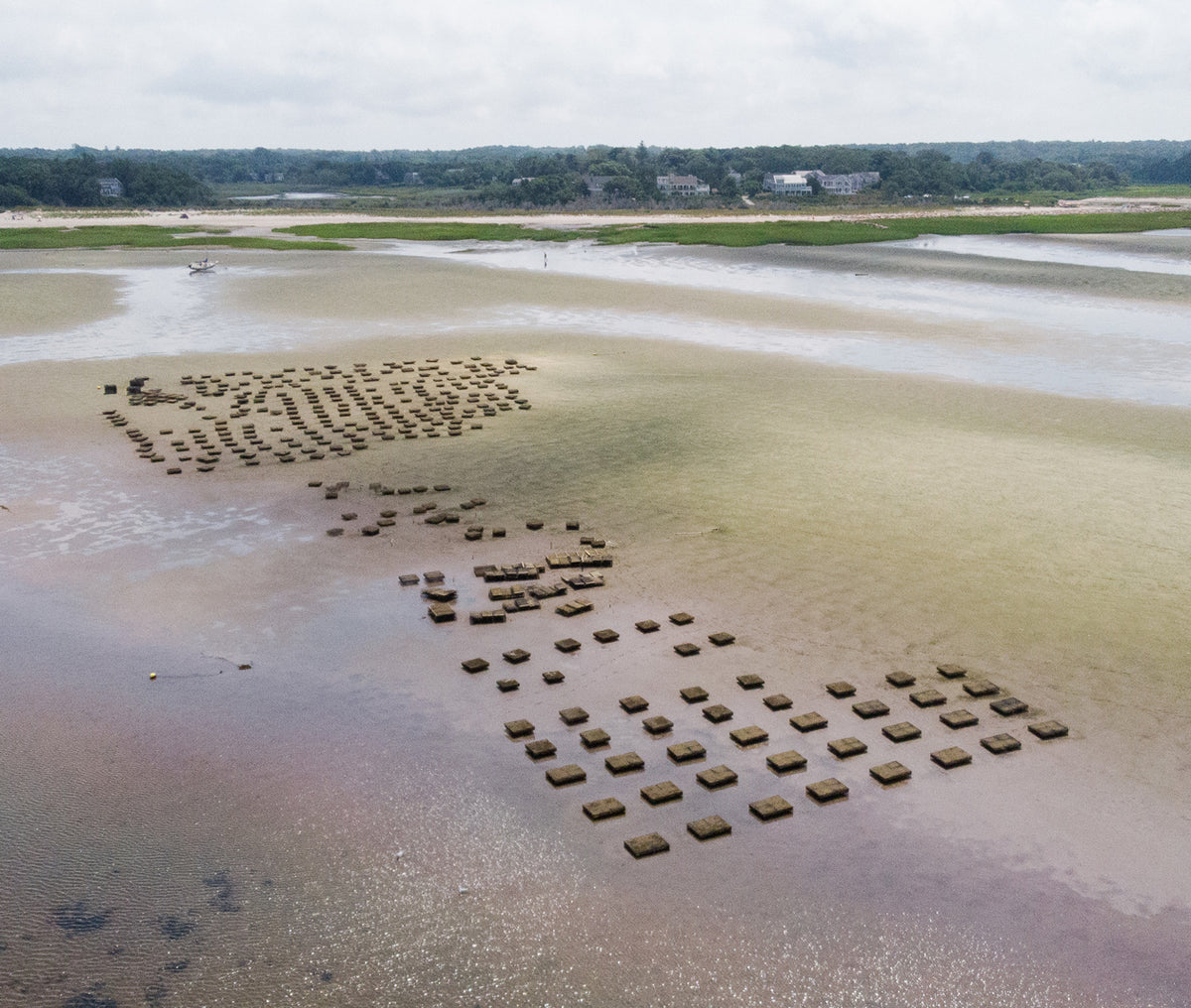 Aerial view of oyster trays arranged across exposed tidal flats in Brewster, Massachusetts