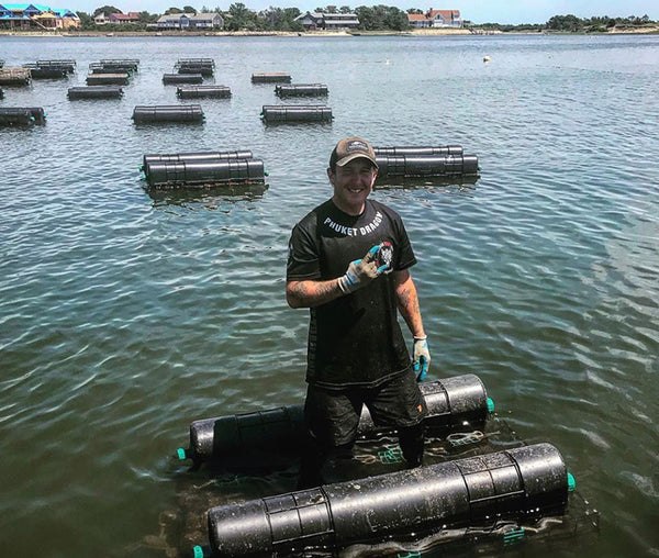 Dunbar Oysters from Yarmouth, MA (Large) Island Creek Oysters Buy