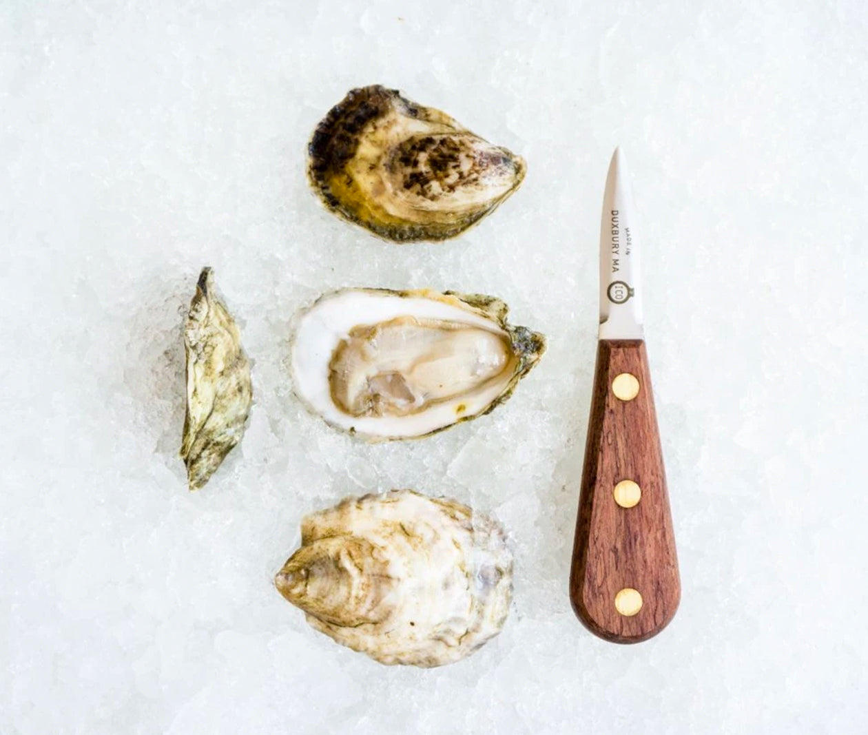 Ichabod Flat Oysters from Plymouth, MA